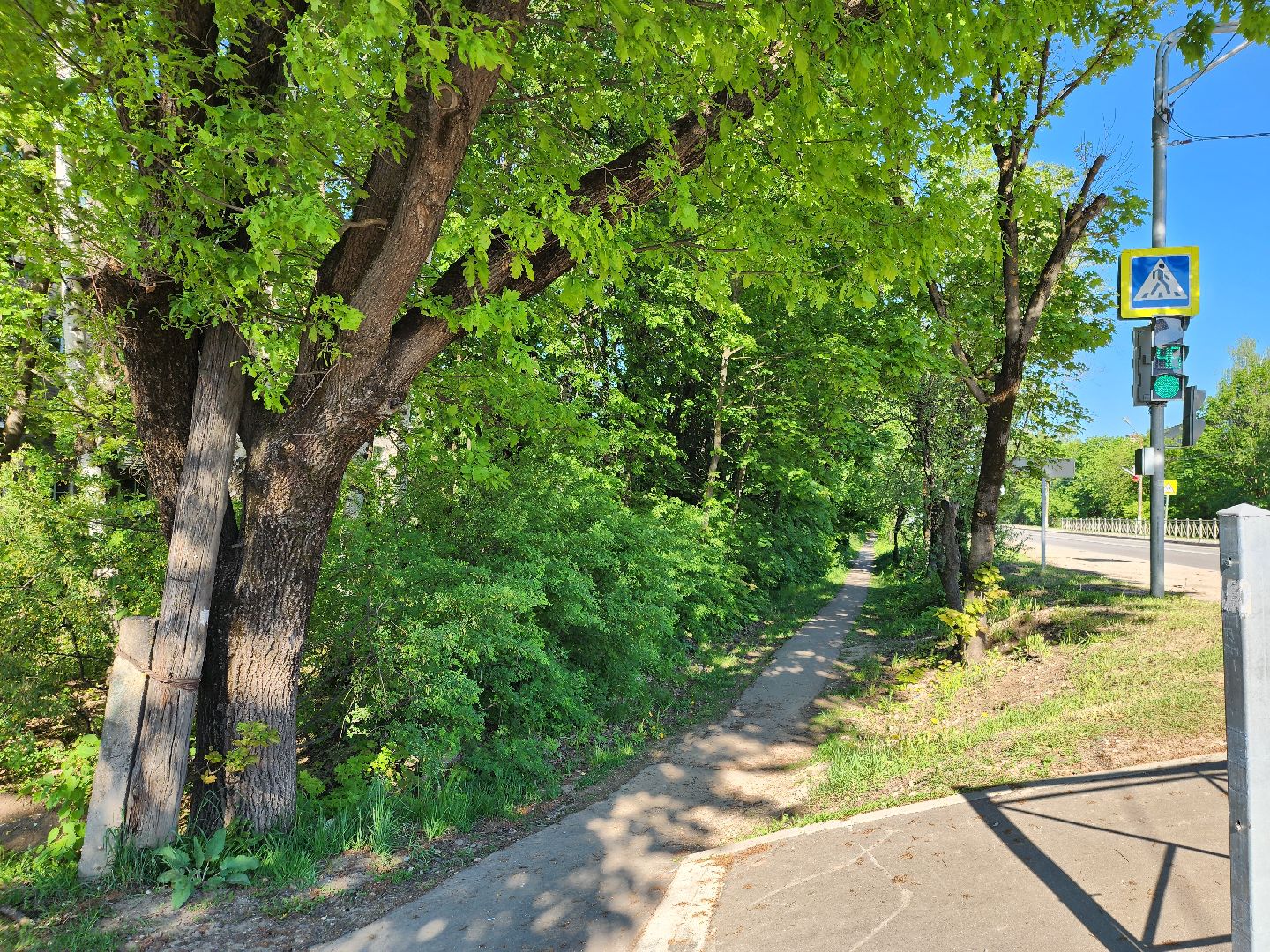 выездная администрация, николай пархоменко, руза, тучково, школа, образование, рузский городской округ,