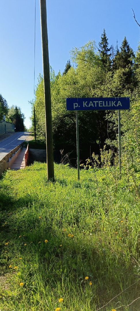 Мытищи, Выездная администрация, дорога, мост, ремонт, дорожные знаки,