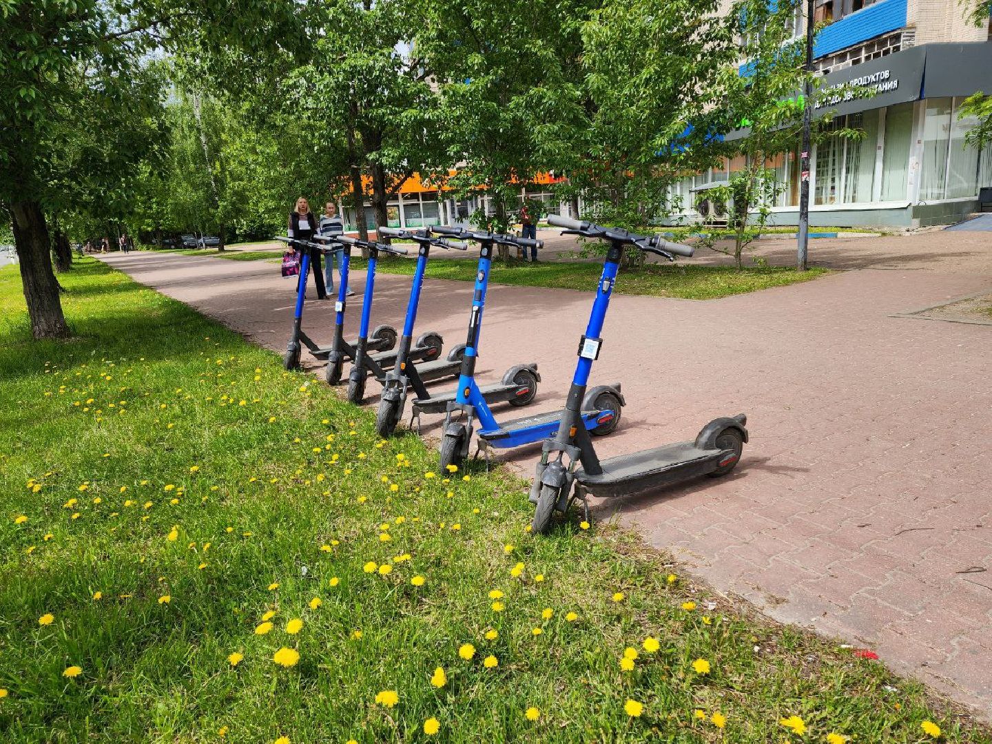 чехов, безопасность, пдд, сим, электросамокаты,