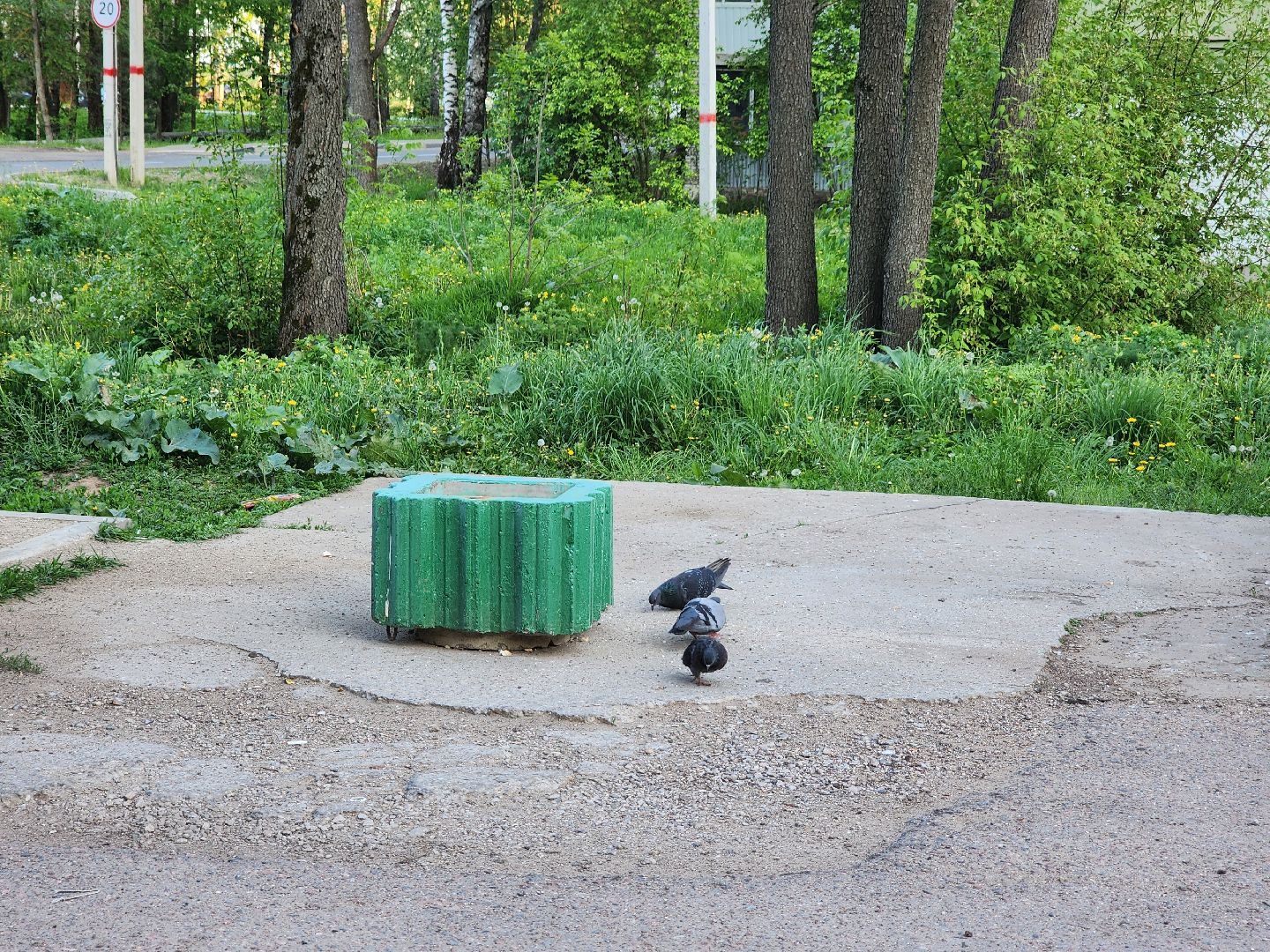 Дубна, крупногабаритные отходы, Мусор, Мусорный контейнер,