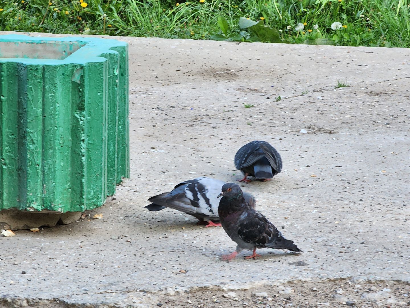 Дубна, крупногабаритные отходы, Мусор, Мусорный контейнер,