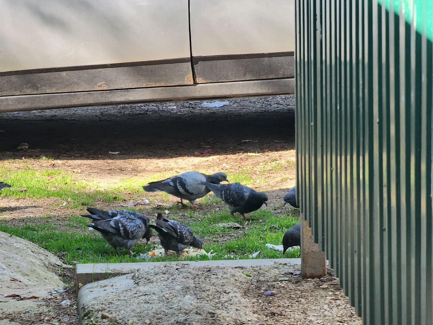 Дубна, тбо, крупногабаритные отходы, Контейнер для мусора, жкх,