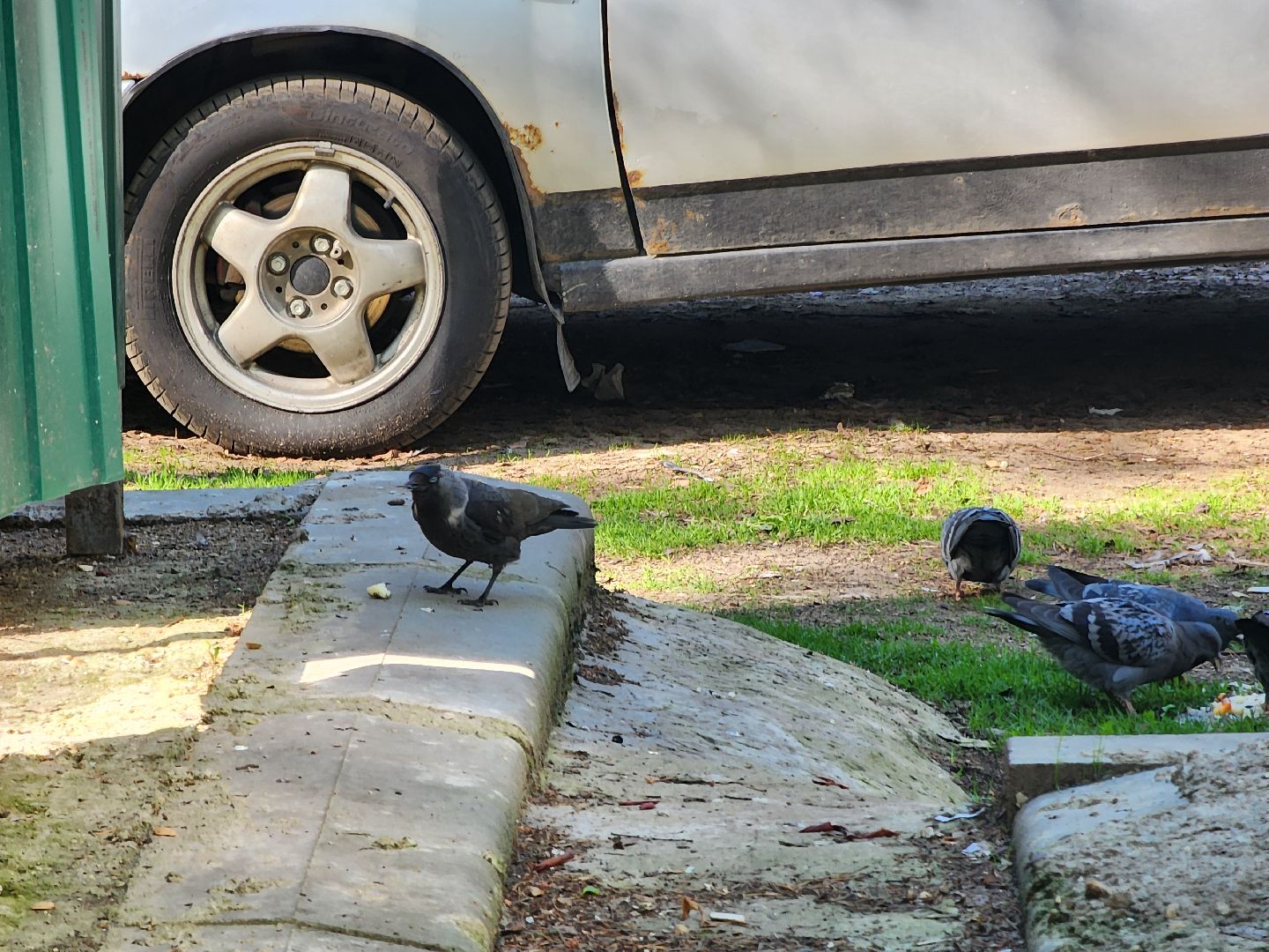 Дубна, тбо, крупногабаритные отходы, Контейнер для мусора, жкх,