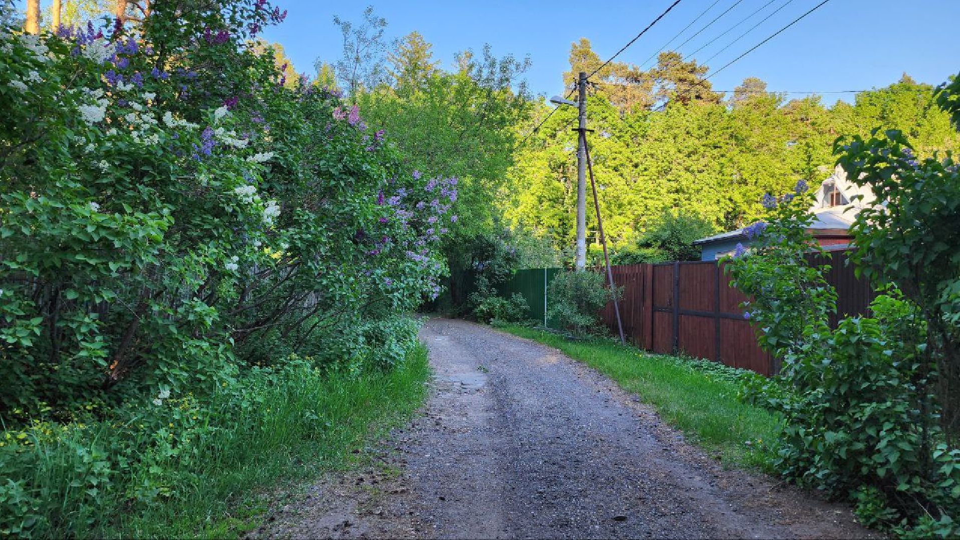 люберцы, глава городского округа люберцы владимир волков, выездная администрация, ремонт дороги, просьба жителей,