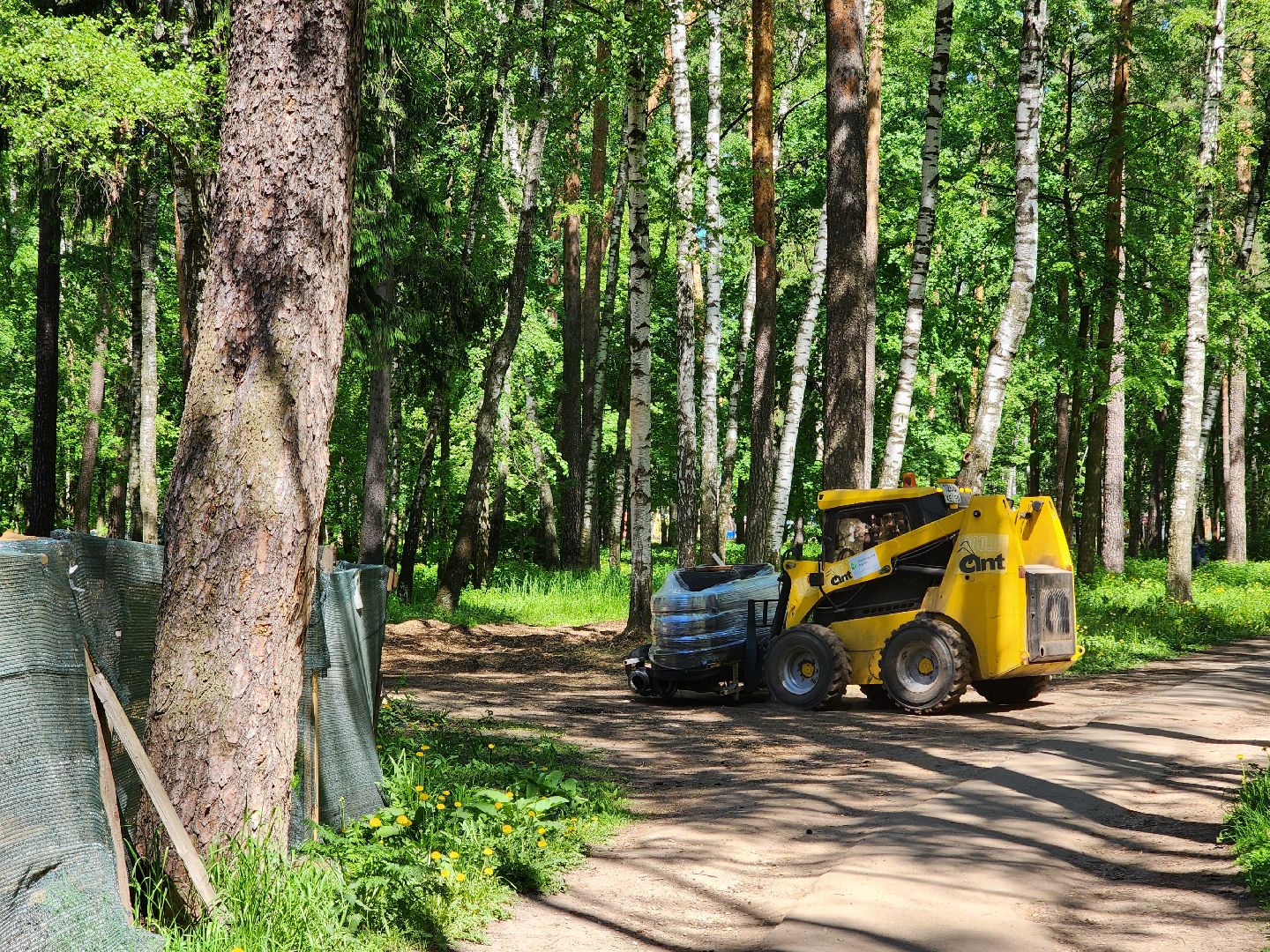 ногинск, ремонт, каток, парки, строительство, жители, общество,