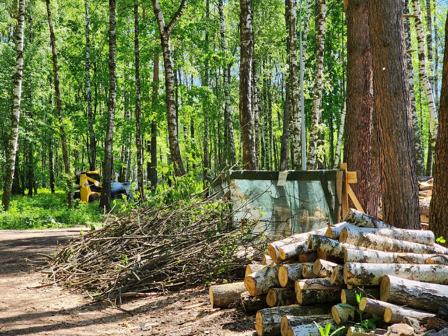 ногинск, ремонт, каток, парки, строительство, жители, общество,