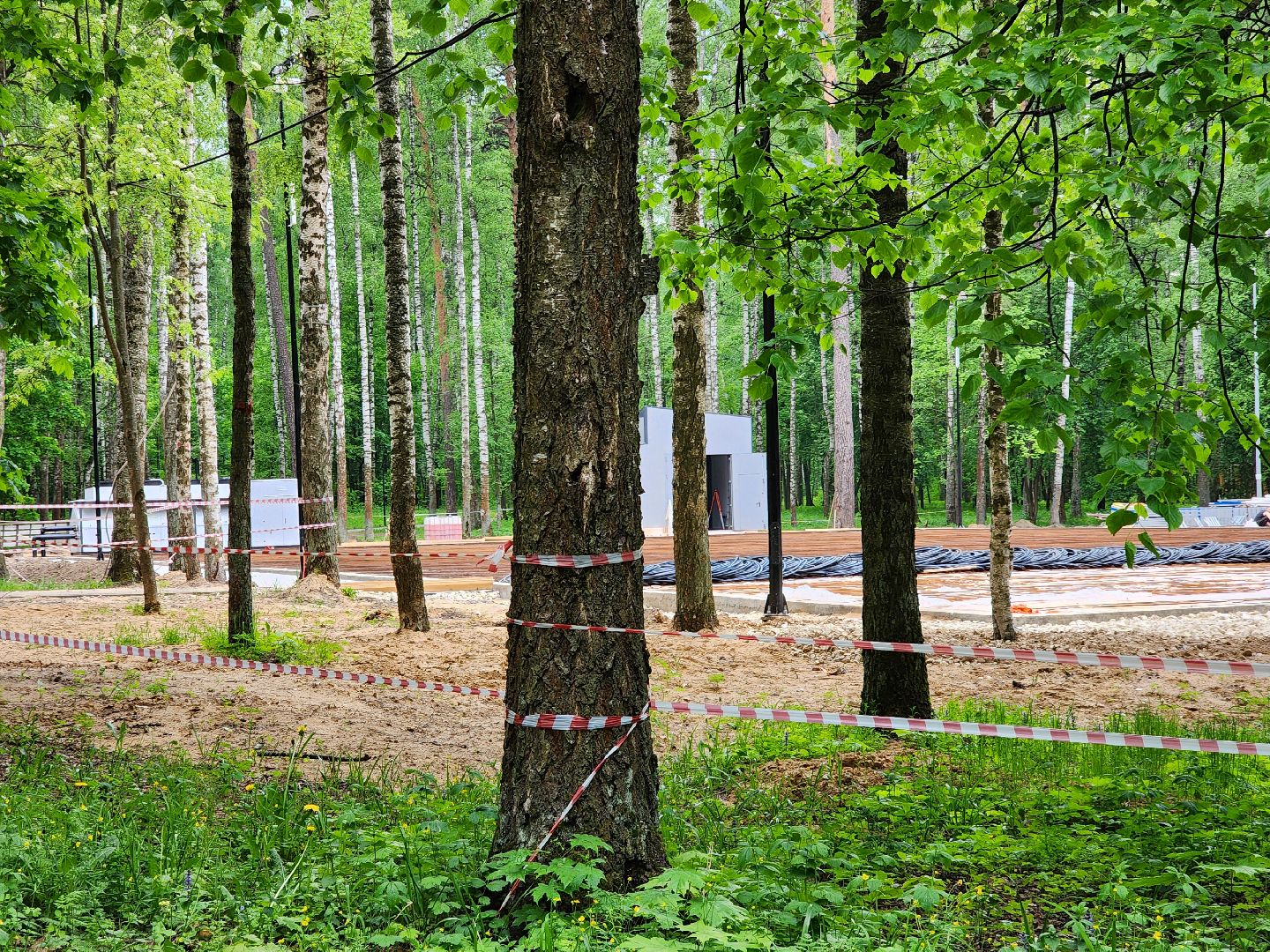 ногинск, ремонт, каток, парки, строительство, жители, общество,