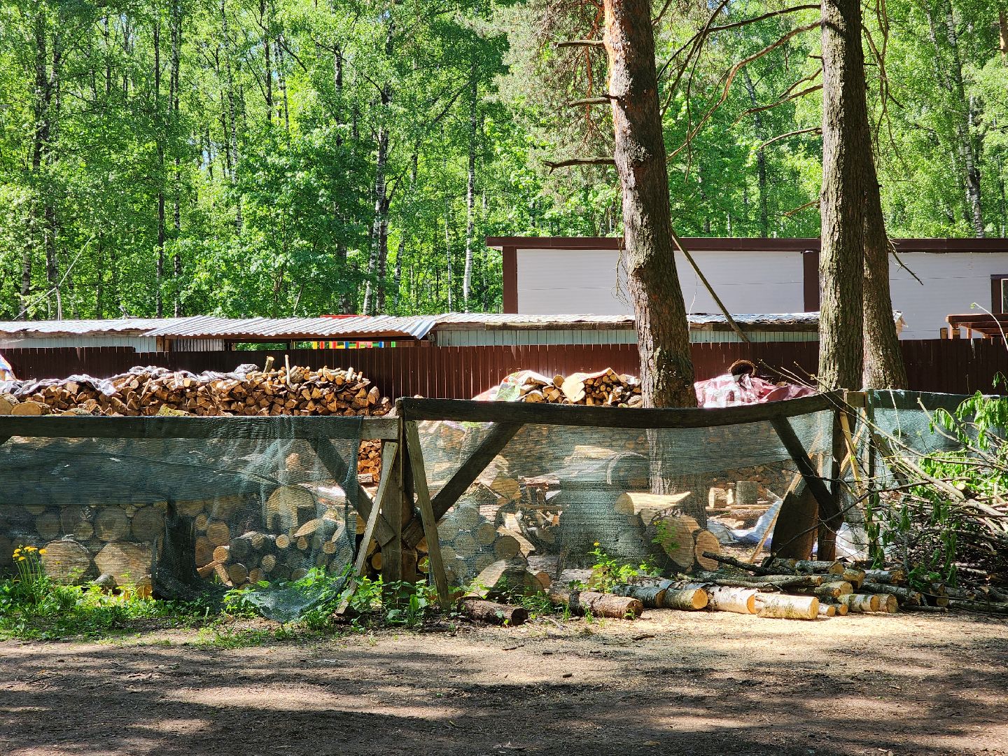 ногинск, ремонт, каток, парки, строительство, жители, общество,