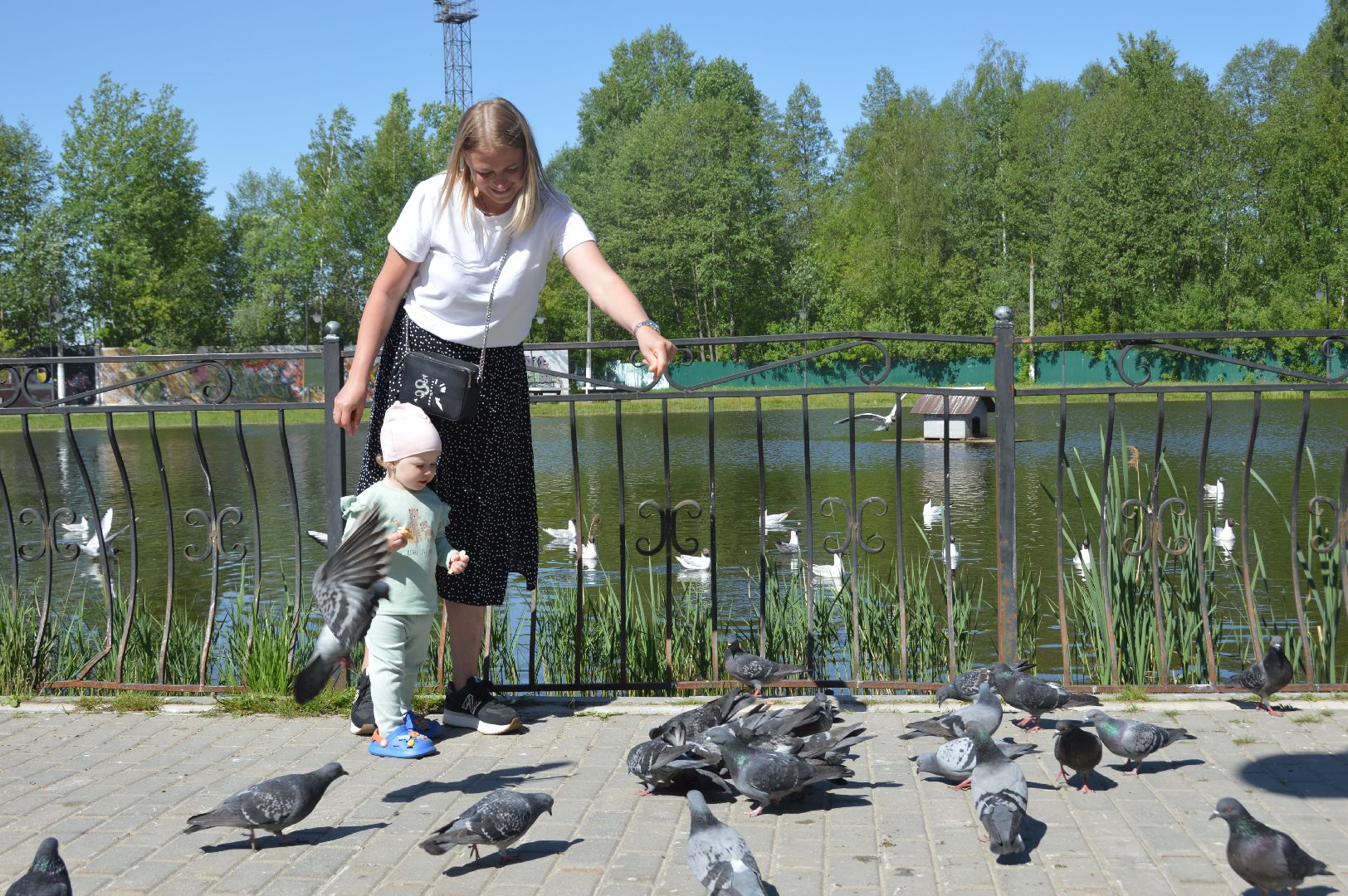 шатура, городской парк шатура, лето в подмосковье,