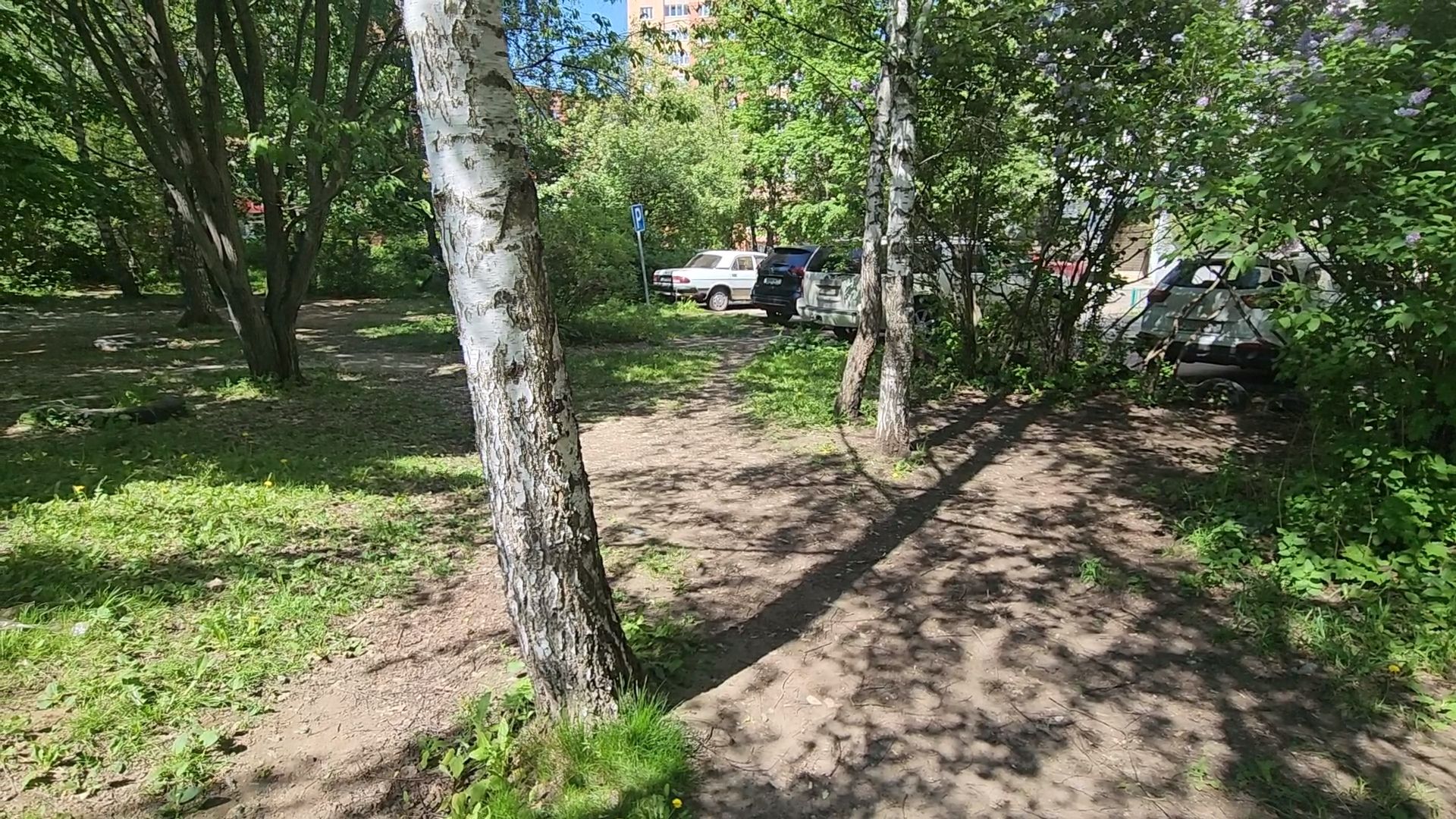 Одинцово, Лесной городок, народная тропа, пешком,