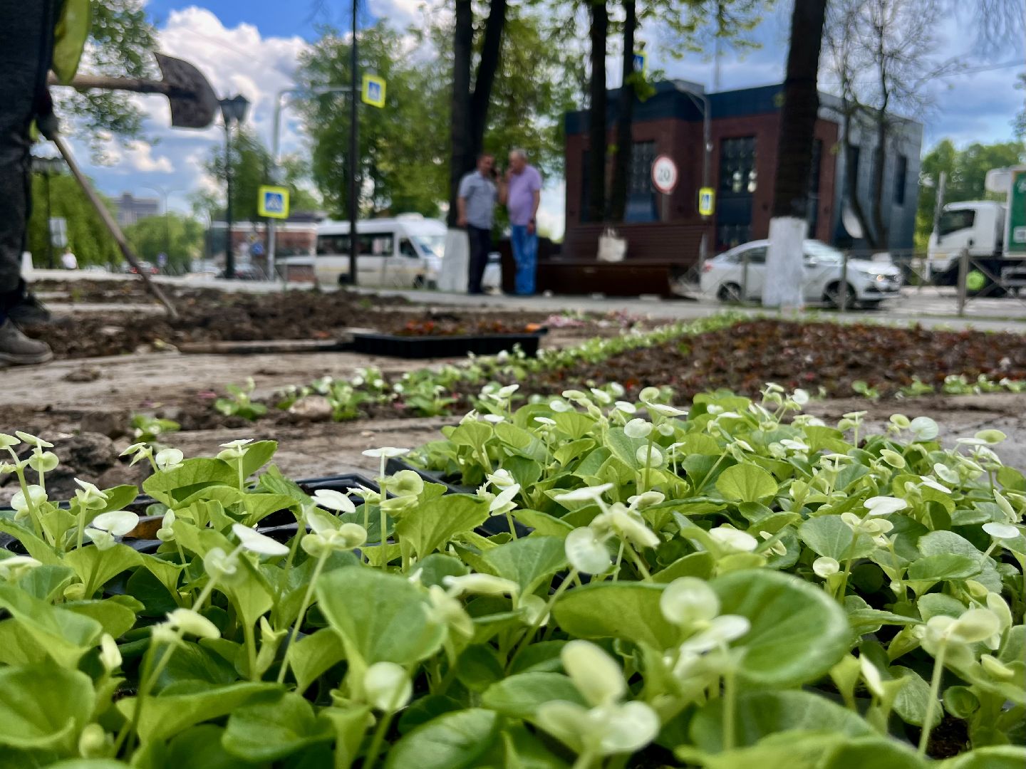 наро-фоминск, благоуйстройство, цветы, мбу благоустройство и дорожное хозяйство,