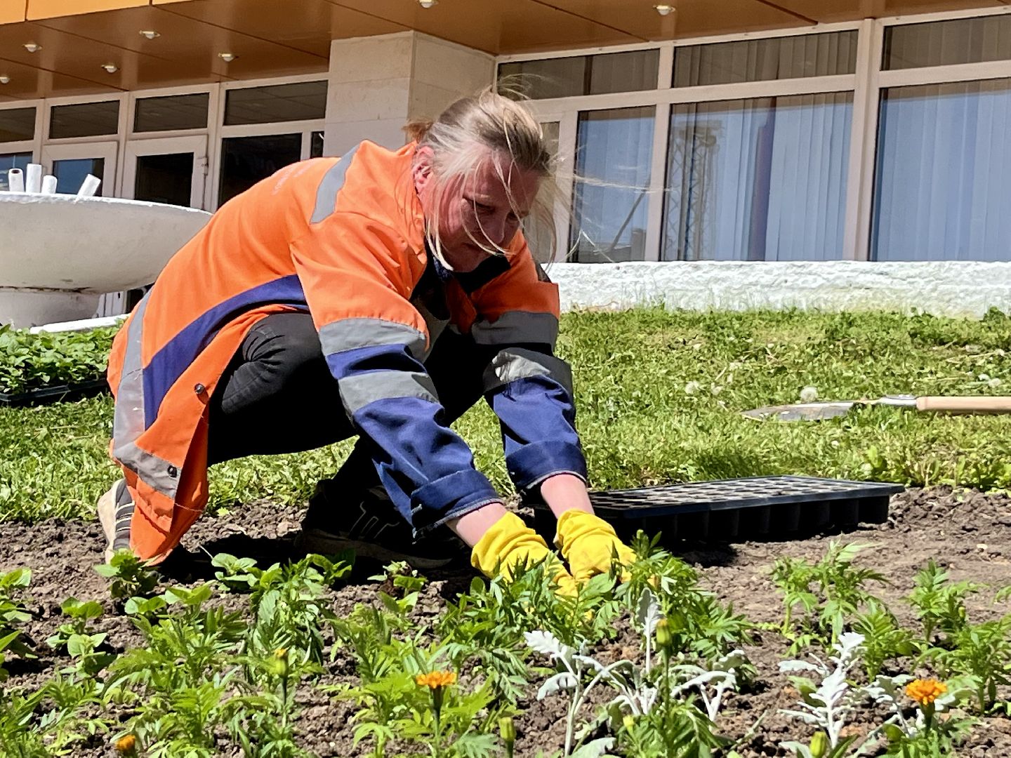 наро-фоминск, благоуйстройство, цветы, мбу благоустройство и дорожное хозяйство,