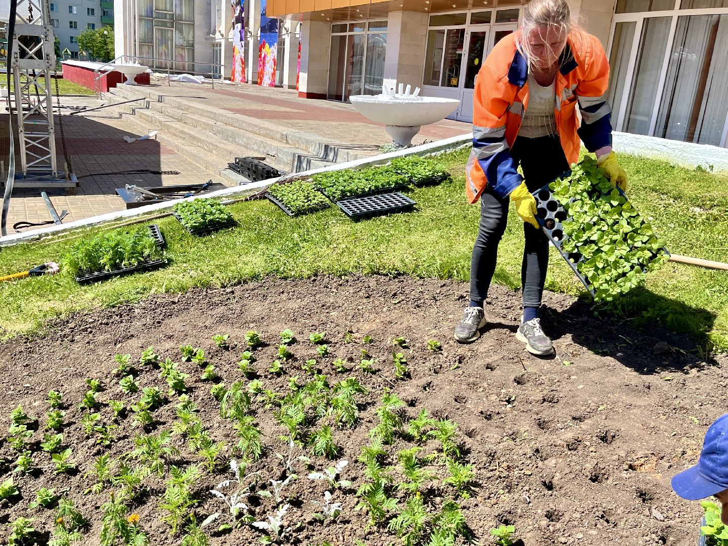 наро-фоминск, благоуйстройство, цветы, мбу благоустройство и дорожное хозяйство,