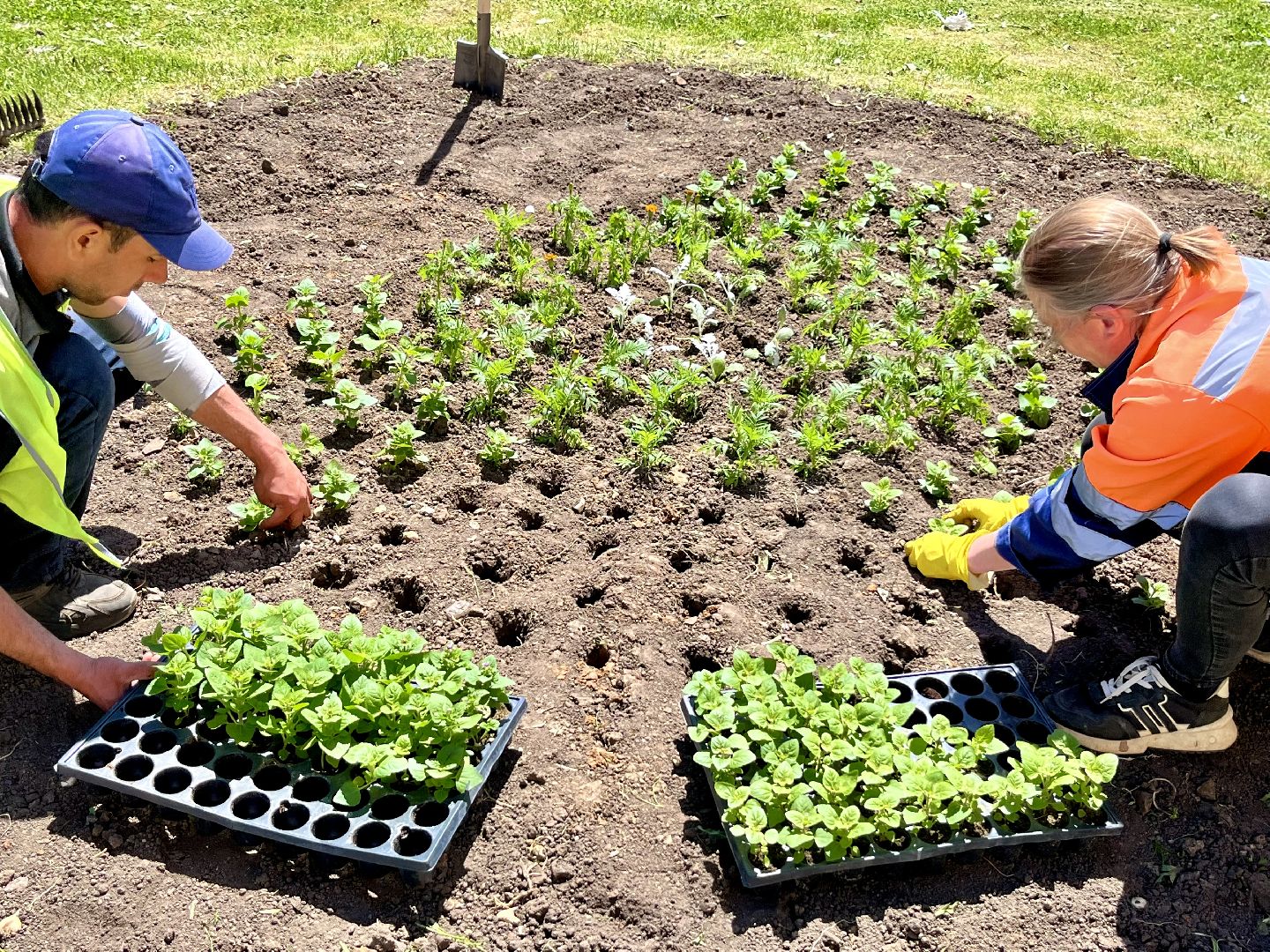 наро-фоминск, благоуйстройство, цветы, мбу благоустройство и дорожное хозяйство,
