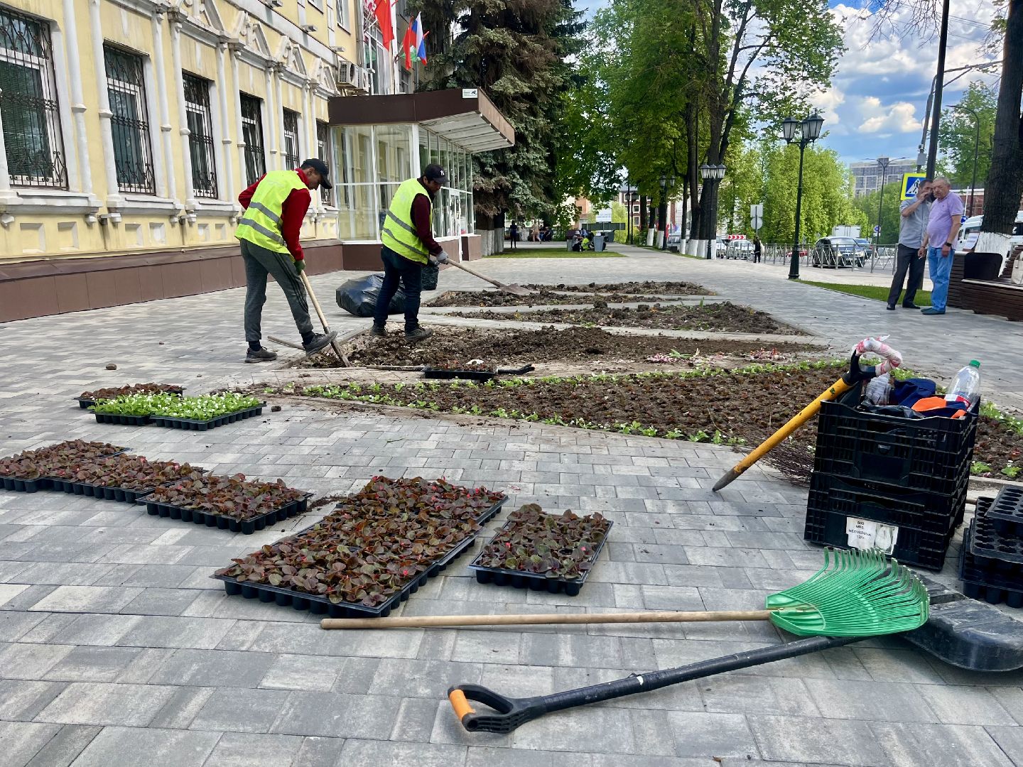 наро-фоминск, благоуйстройство, цветы, мбу благоустройство и дорожное хозяйство,