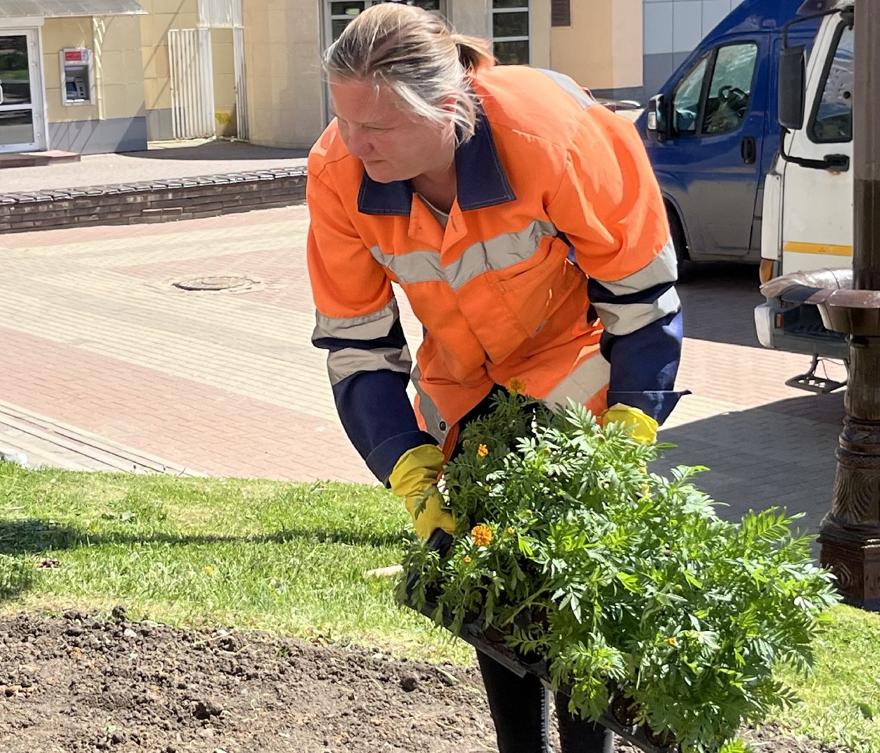 наро-фоминск, благоуйстройство, цветы, мбу благоустройство и дорожное хозяйство,
