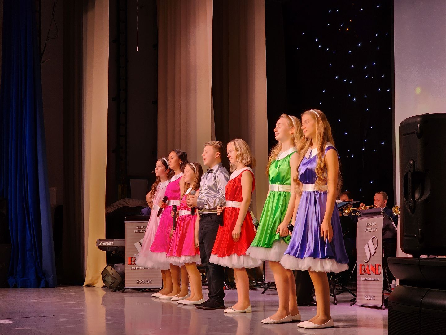 ногинск, рдк, общество, жители, культура, день работника культуры, концерт, дом культуры,