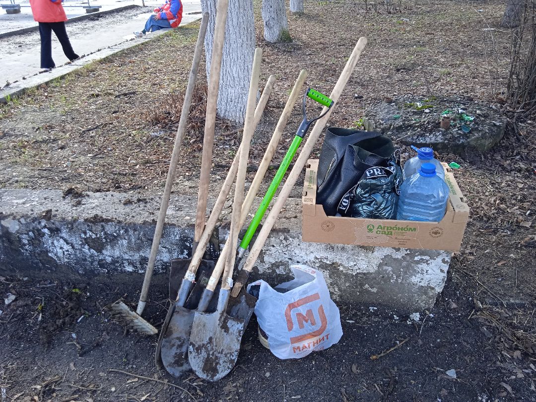 цветы, пересадка, благоустройство, Жуковский
