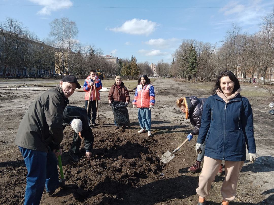 цветы, пересадка, благоустройство, Жуковский