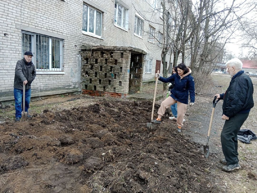цветы, пересадка, благоустройство, Жуковский