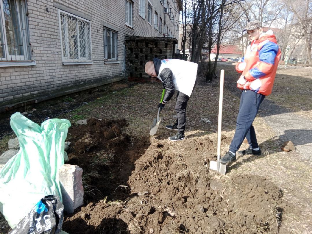 цветы, пересадка, благоустройство, Жуковский