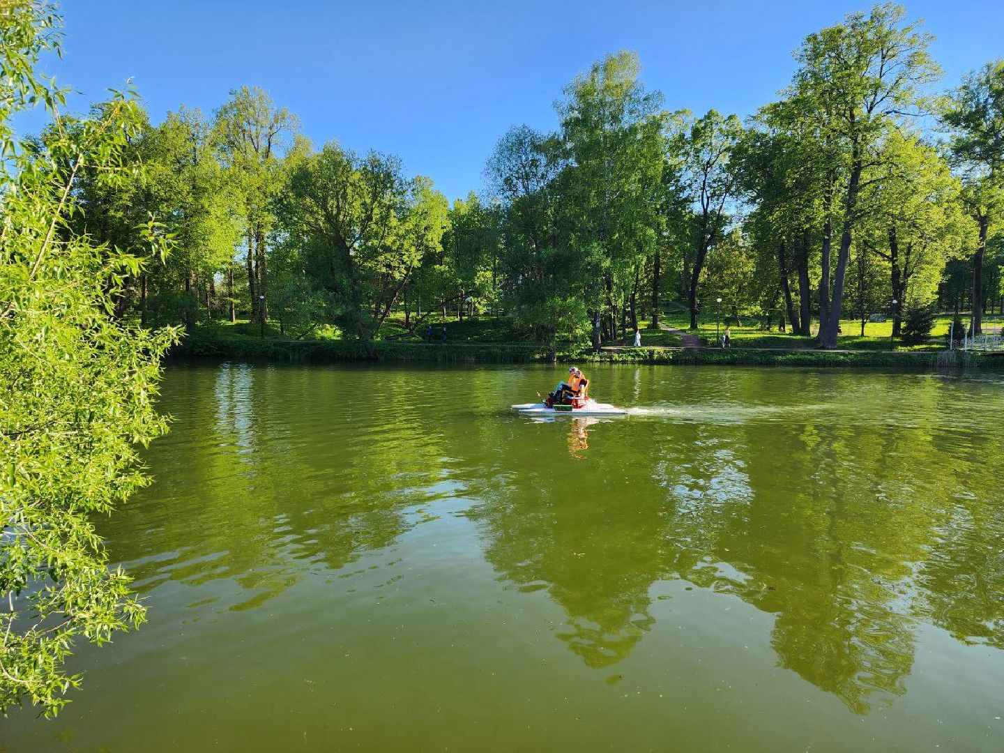 чехов, лето в подмосковье, городской парк, катамаран, жители, отдых,