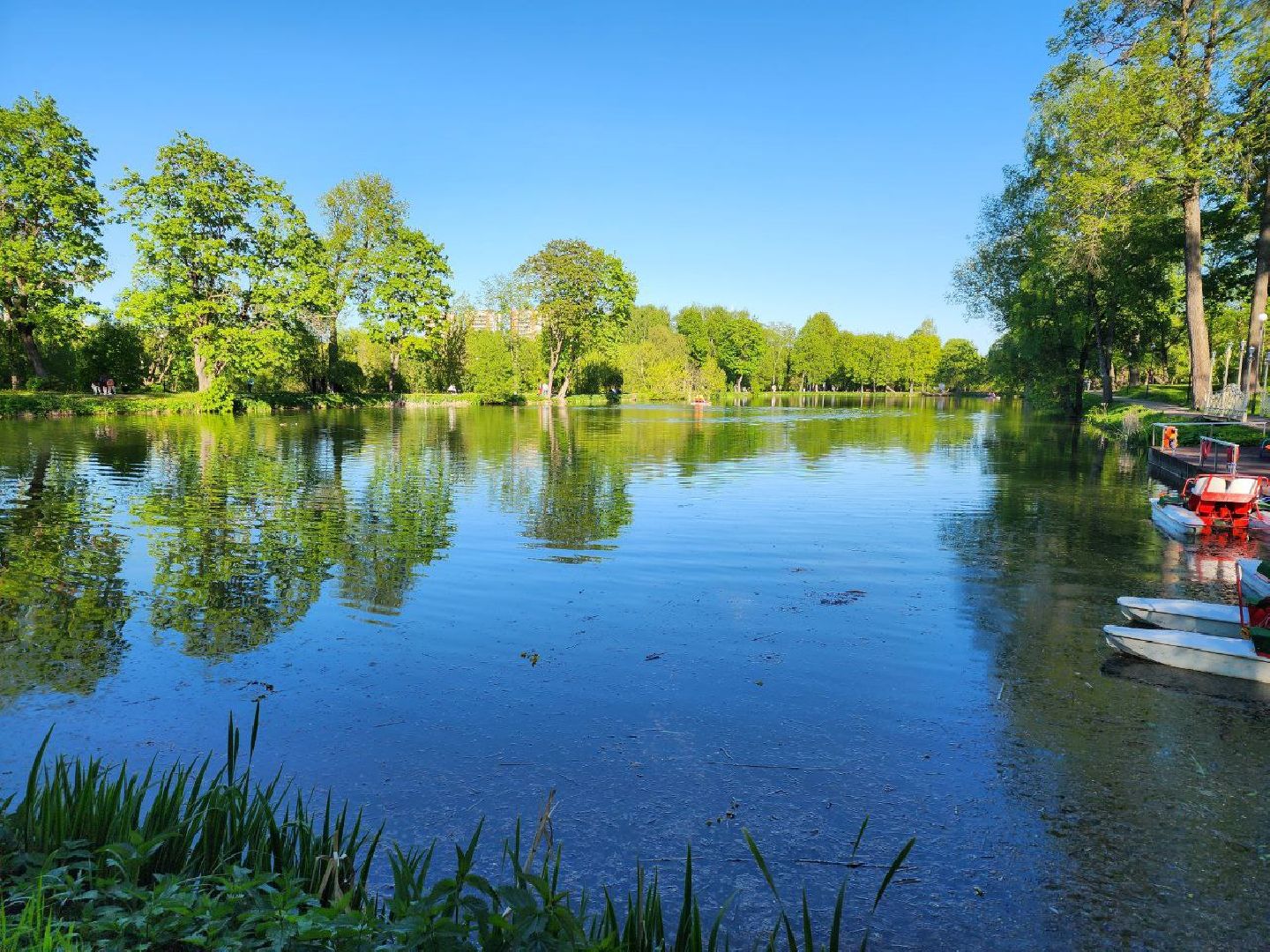 чехов, лето в подмосковье, городской парк, катамаран, жители, отдых,