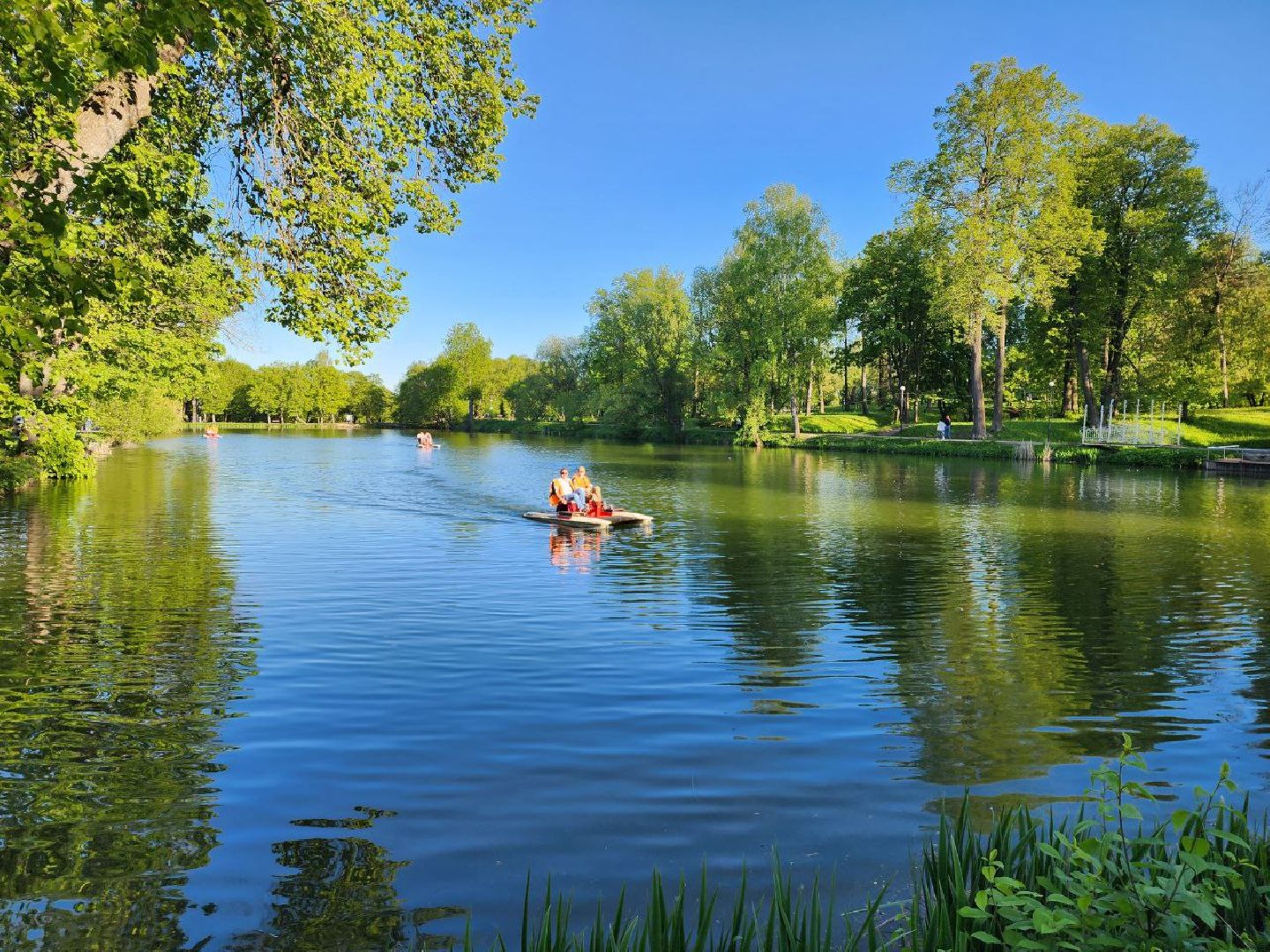 чехов, лето в подмосковье, городской парк, катамаран, жители, отдых,
