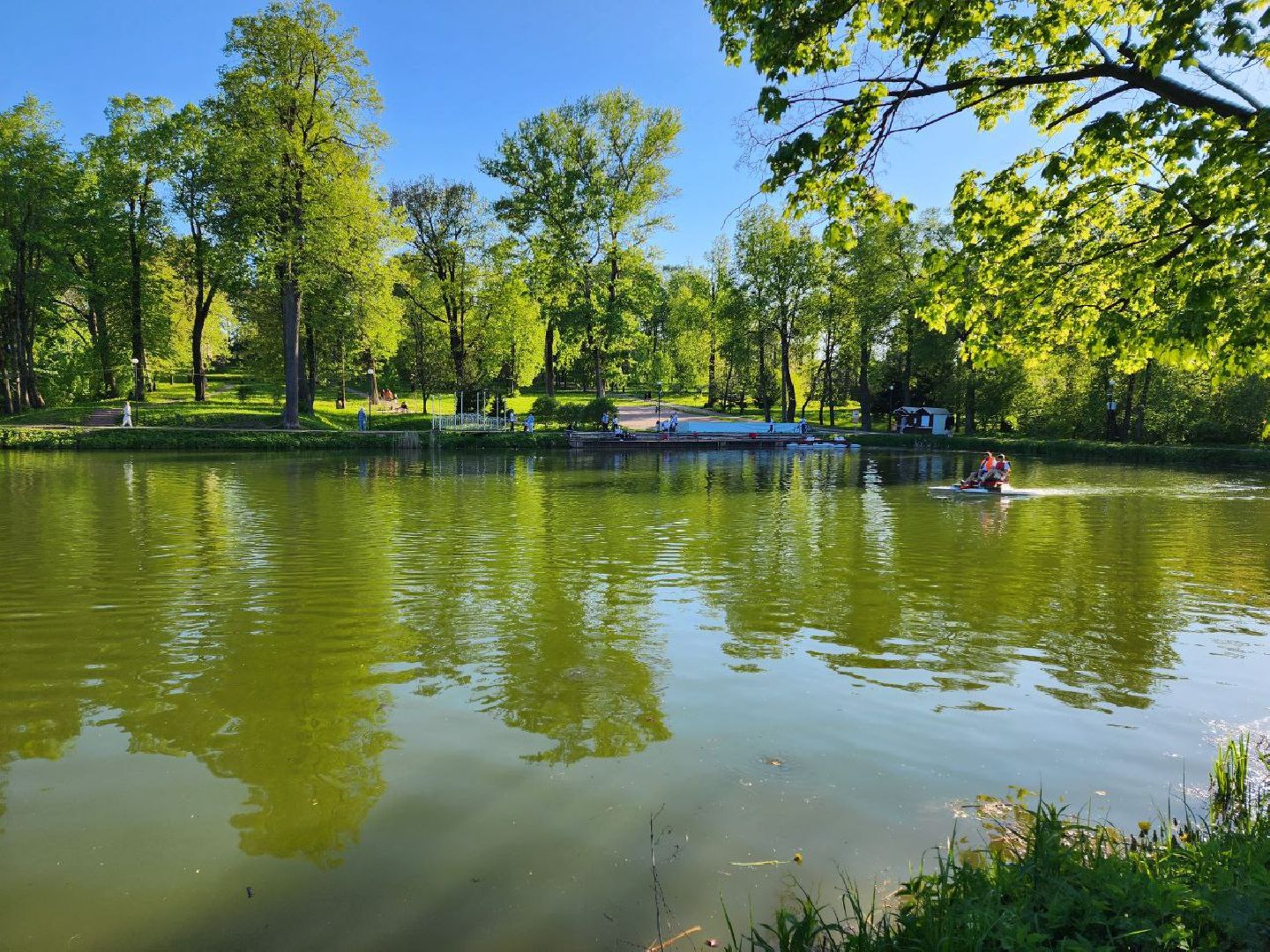 чехов, лето в подмосковье, городской парк, катамаран, жители, отдых,