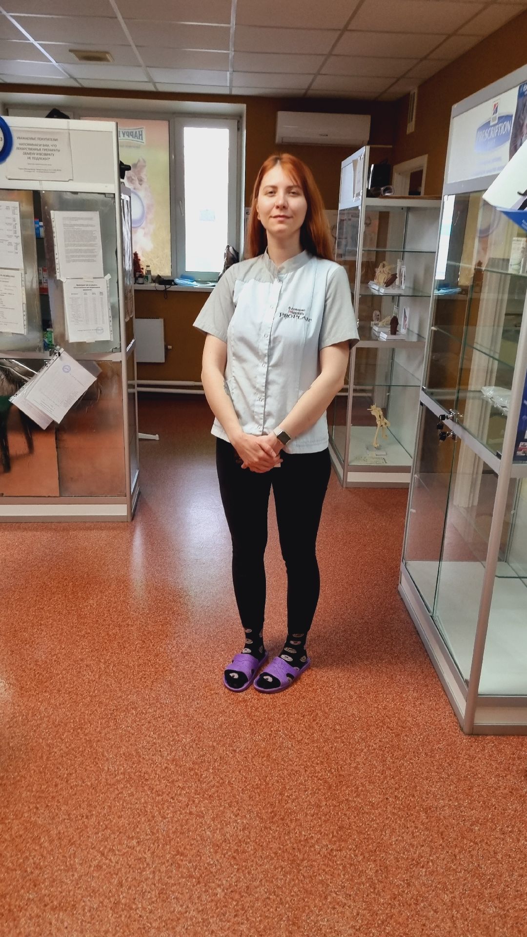 Подмосковье, Ивантеевка, клещи