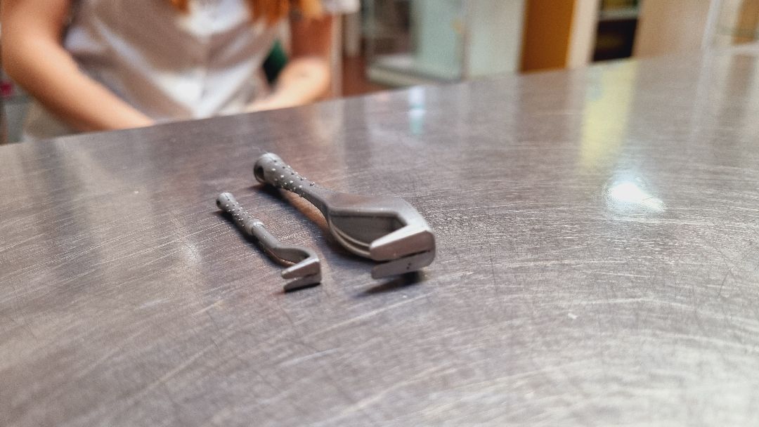 Подмосковье, Ивантеевка, клещи