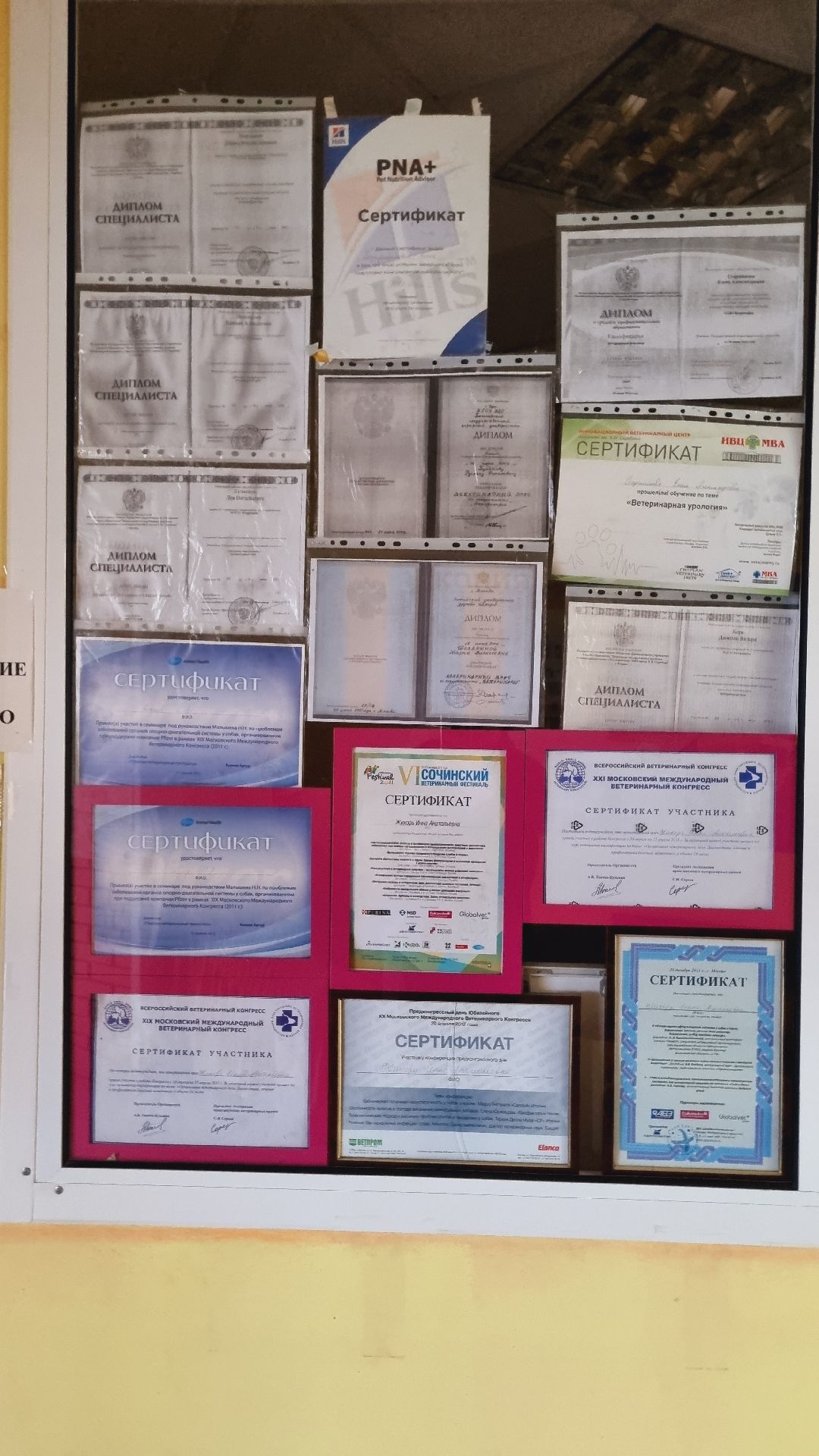 Подмосковье, Ивантеевка, клещи