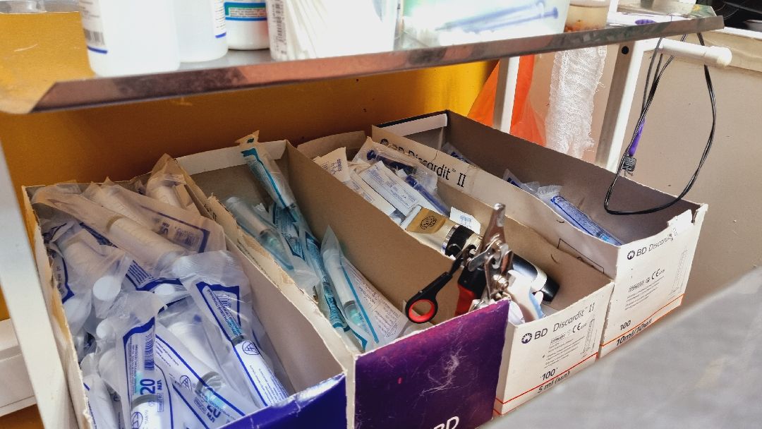 Подмосковье, Ивантеевка, клещи