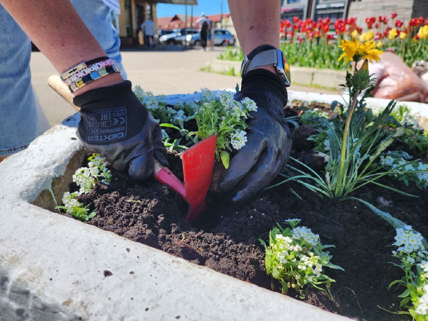 можайск, можайский городской округ, подмосковье, благоустройство, цветы, озеленение,