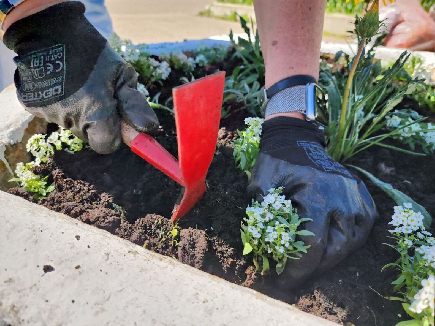 можайск, можайский городской округ, подмосковье, благоустройство, цветы, озеленение,