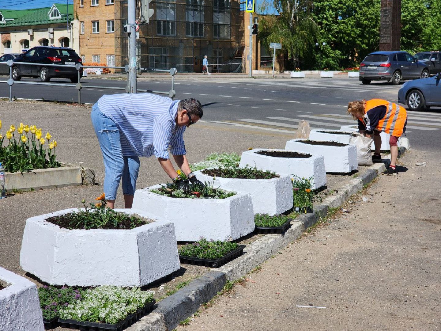 можайск, можайский городской округ, подмосковье, благоустройство, цветы, озеленение,