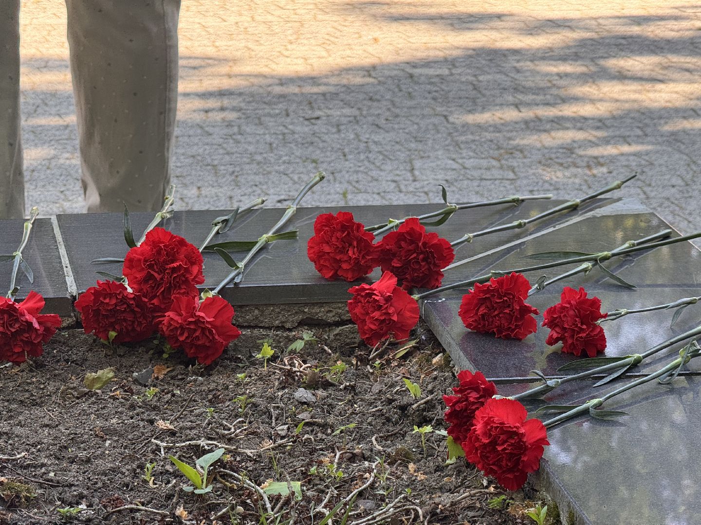 шаховская, последний звонок, школа,