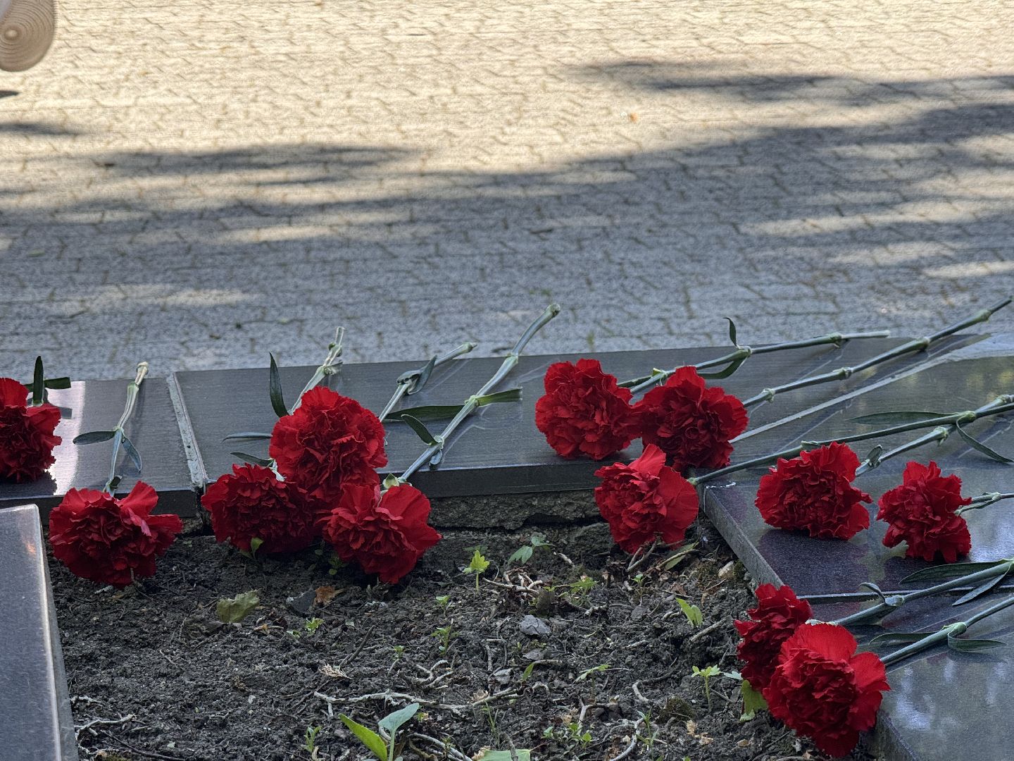 шаховская, последний звонок, школа,