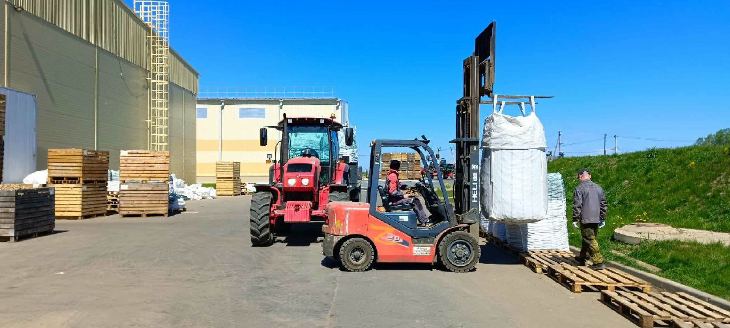 Талдом, Дмитровские овощи,