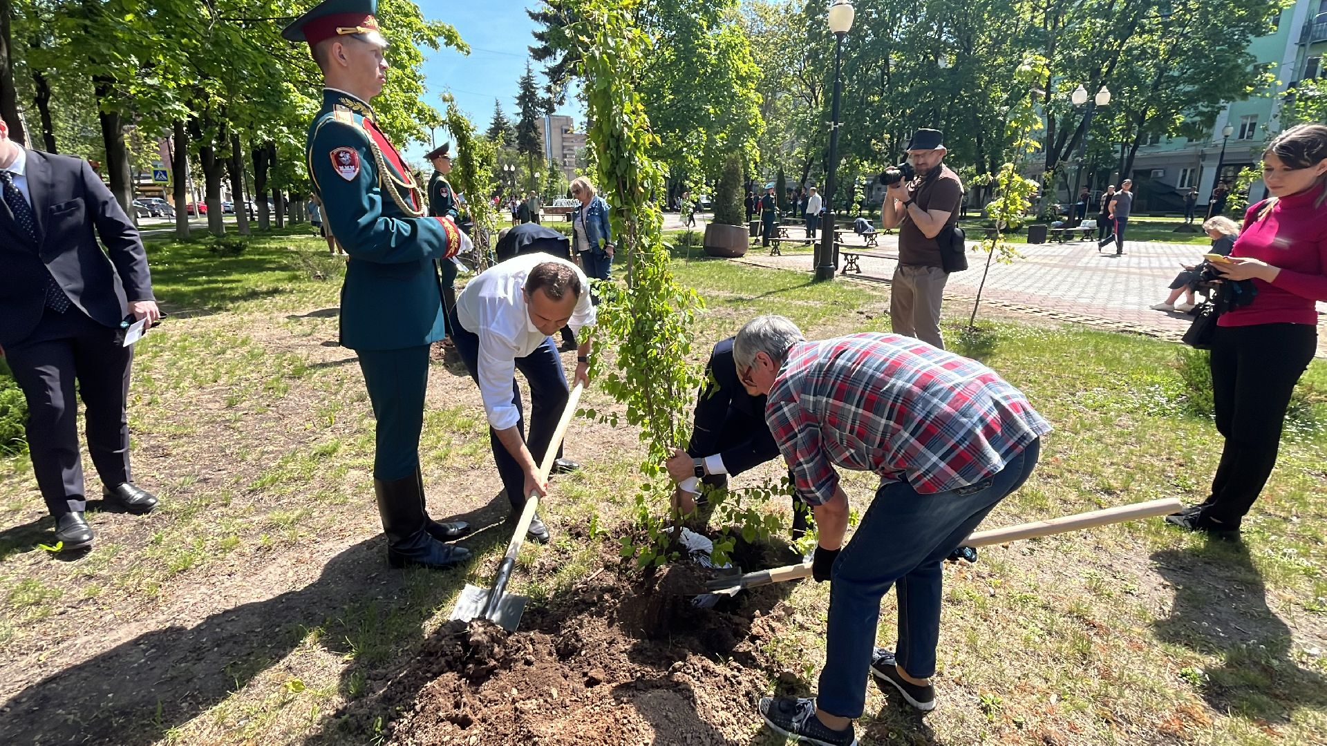 сво, посадка, клен, посадка кленов,