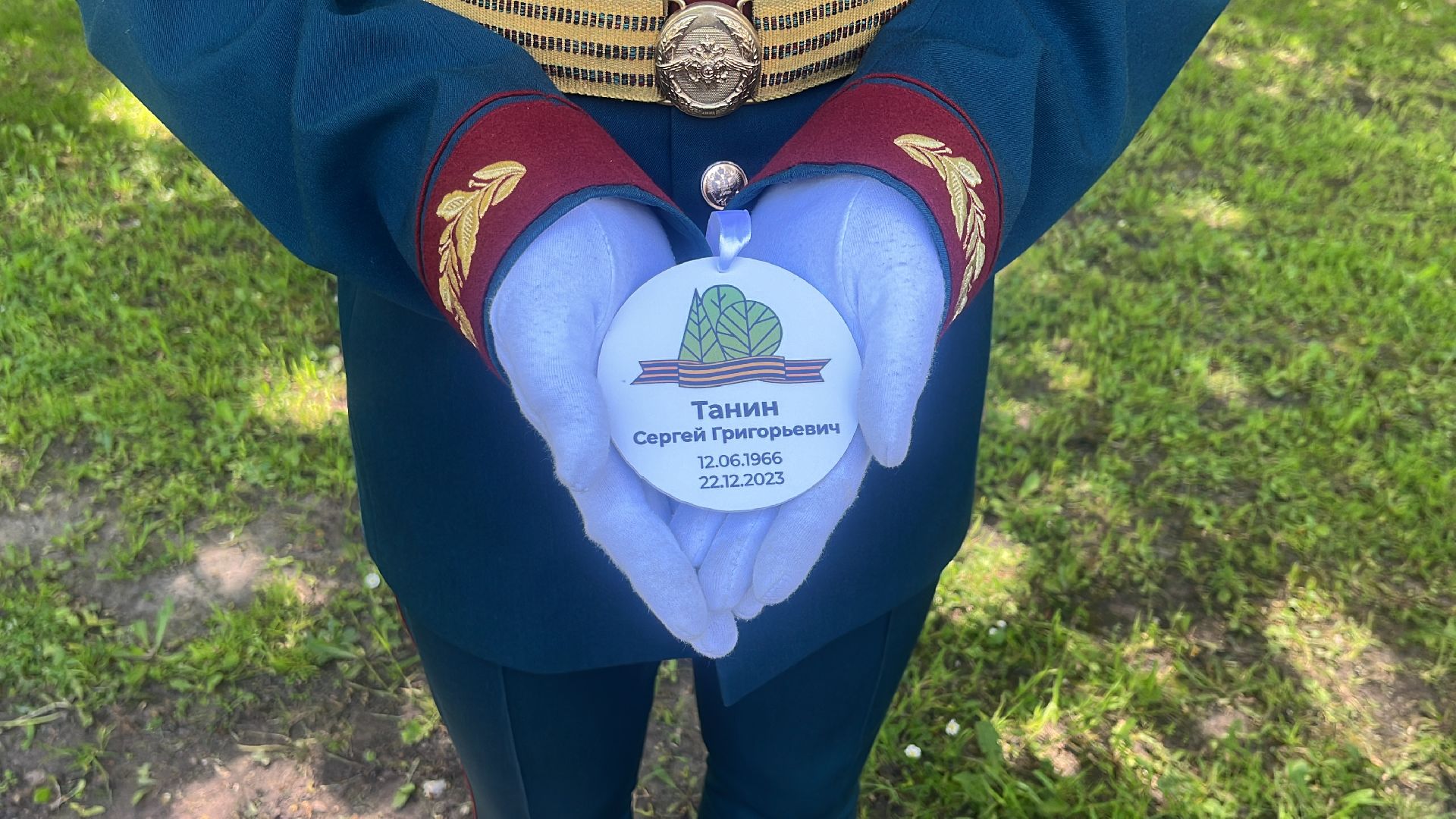 сво, посадка, клен, посадка кленов,