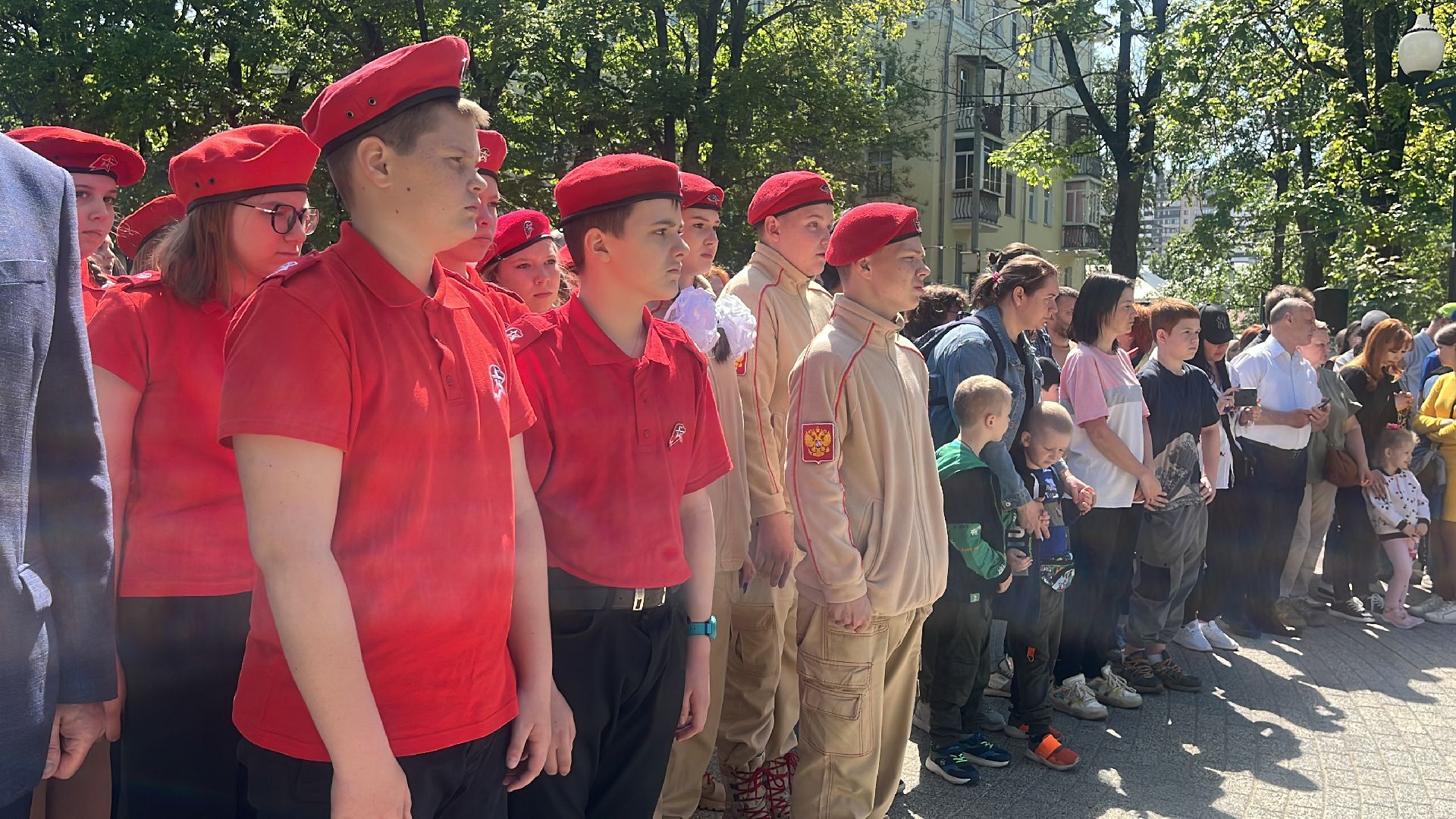 сво, посадка, клен, посадка кленов,