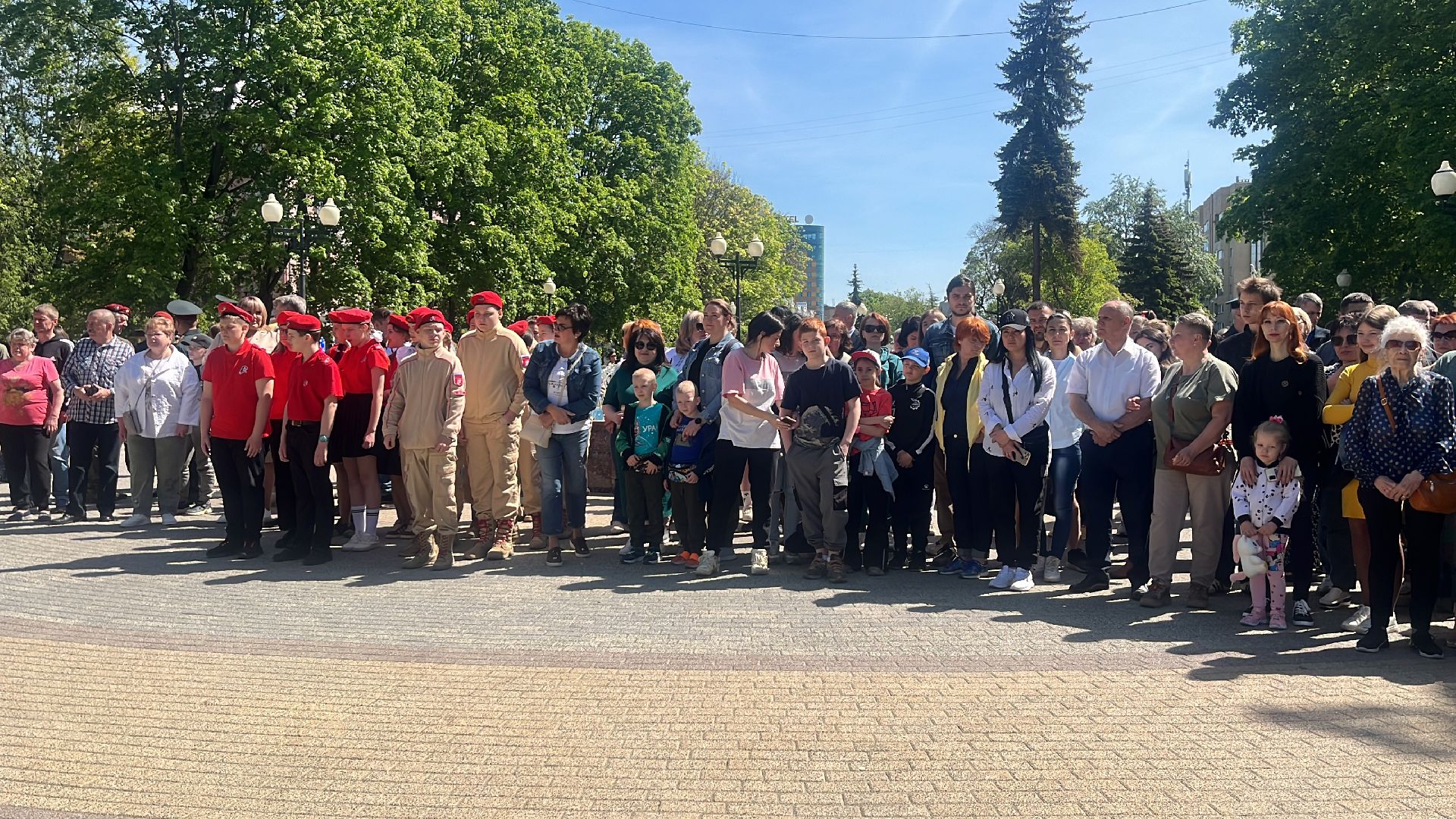 сво, посадка, клен, посадка кленов,