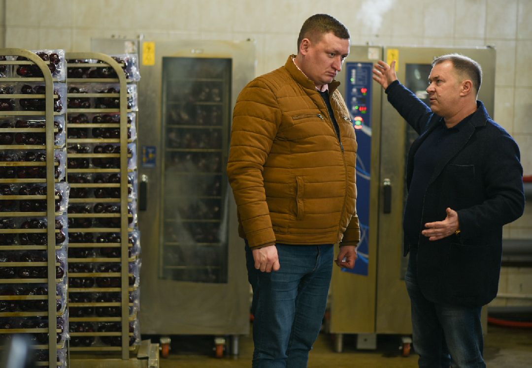 Агрофабрика, Луховицы, овощи