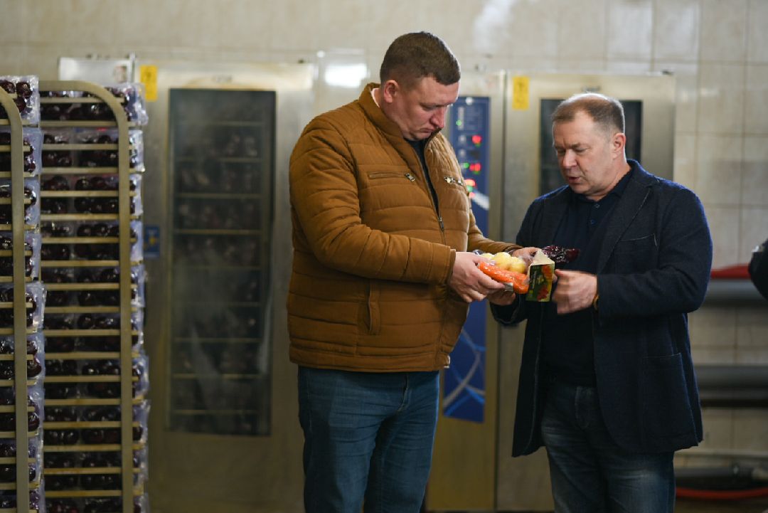 Агрофабрика, Луховицы, овощи