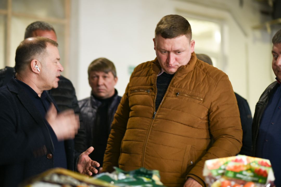 Агрофабрика, Луховицы, овощи