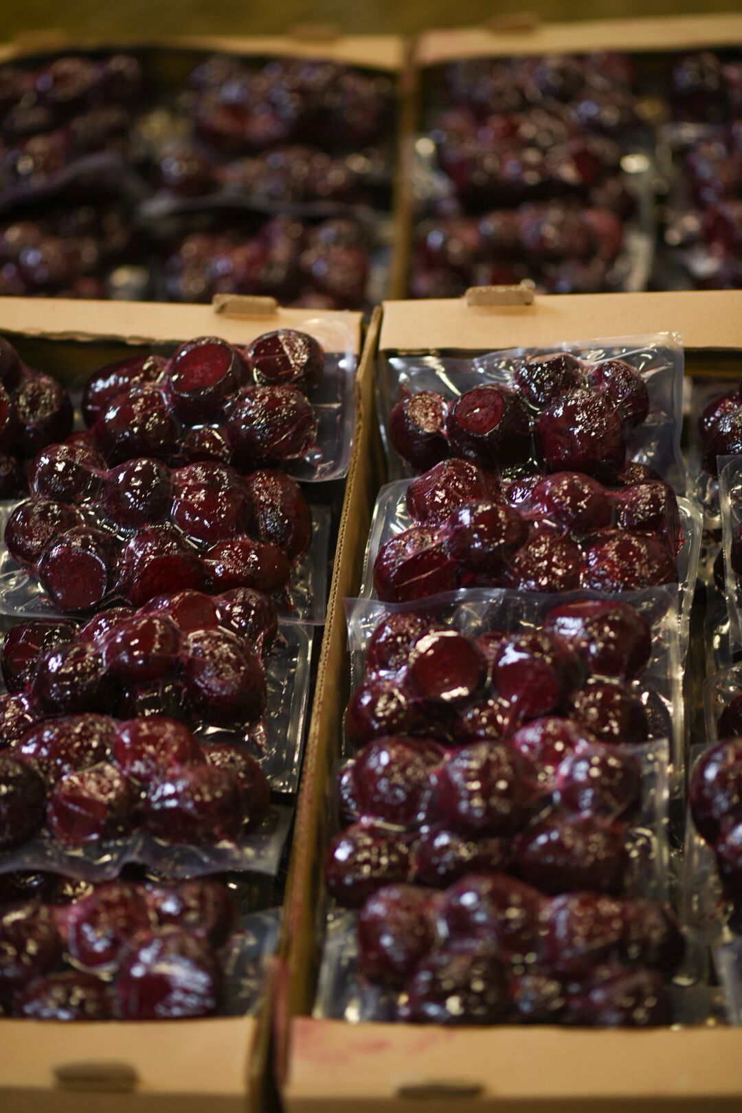 Агрофабрика, Луховицы, овощи