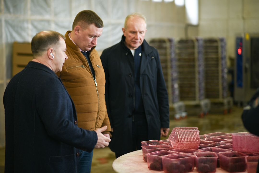 Агрофабрика, Луховицы, овощи