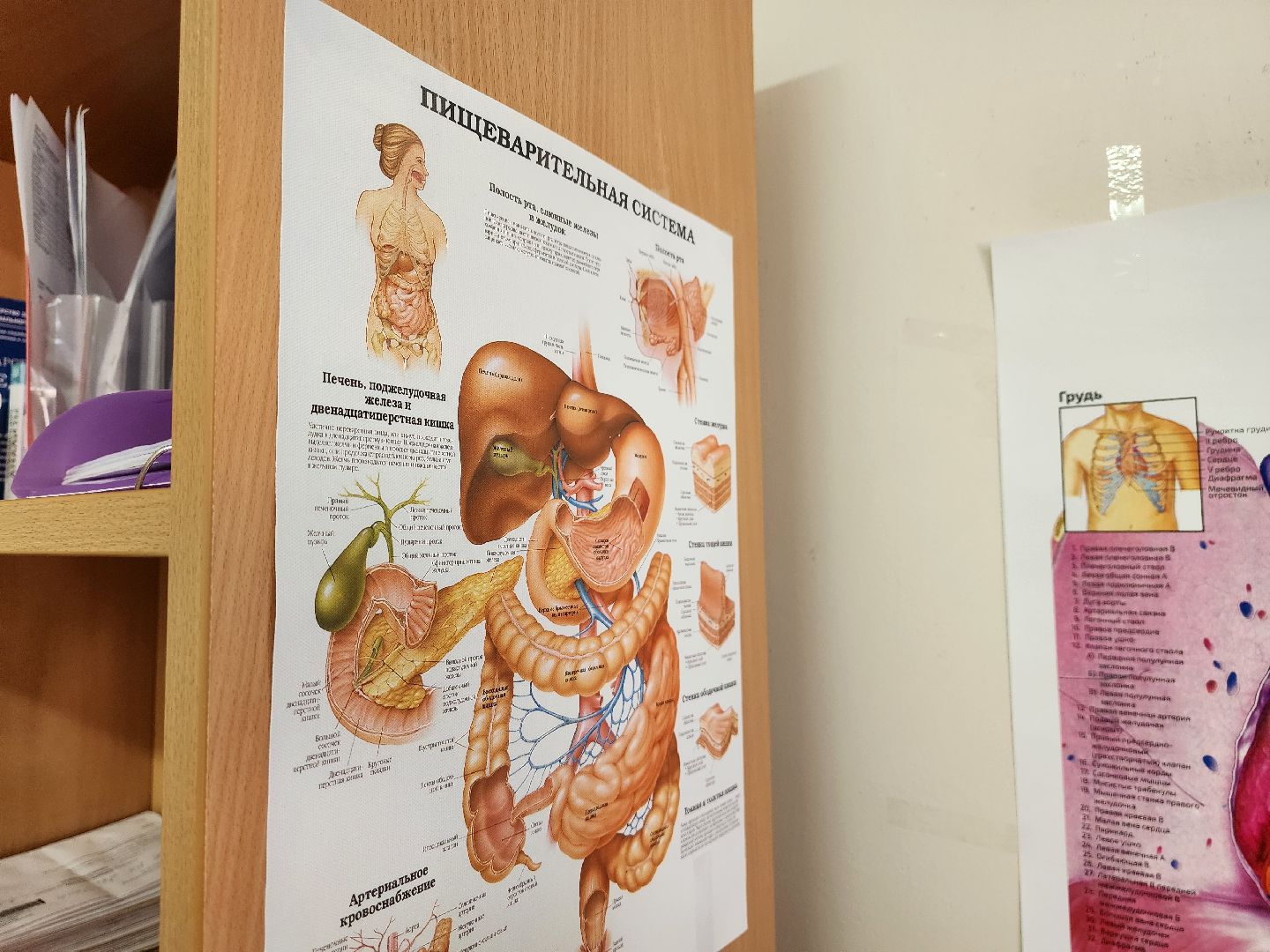 Дубна, Терапевт, целевое обучение, целевое направление, Медицинский вуз, Обучение, Врач, дубненская больница,