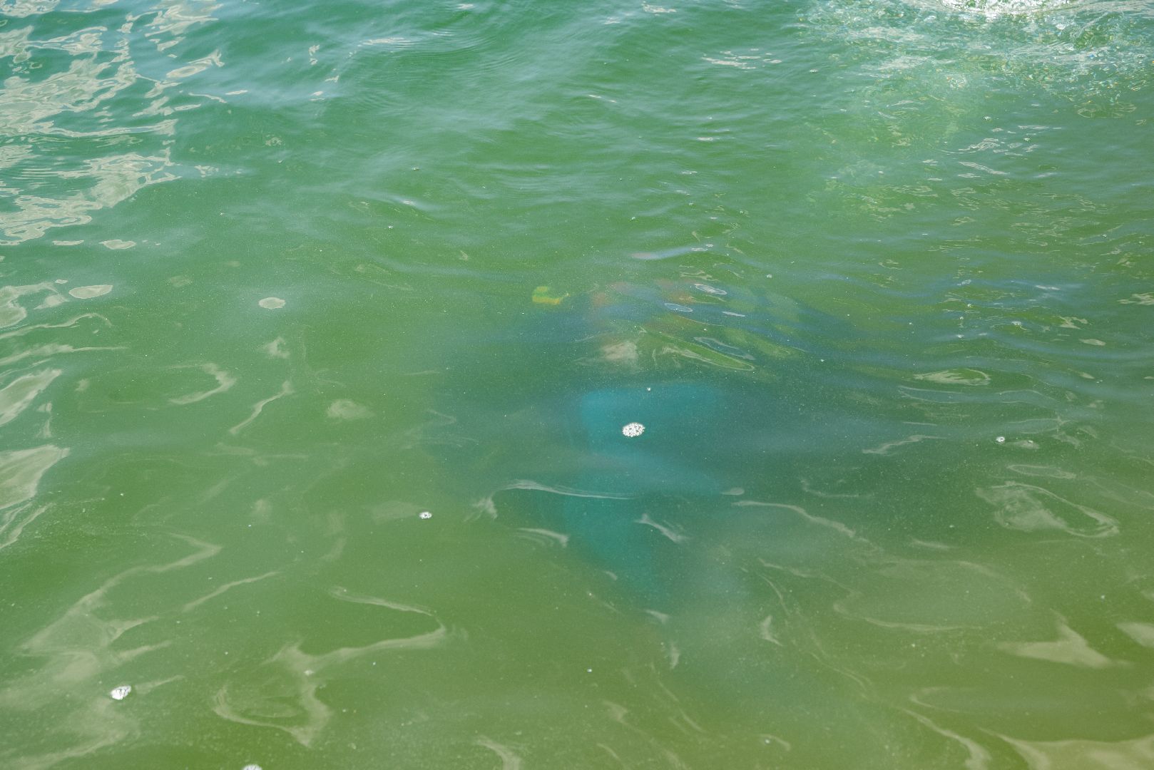 лыткарино, карьер, водолаз, проверка,